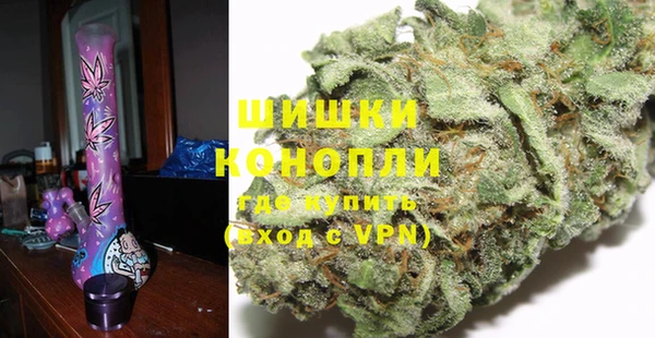 СК Бородино