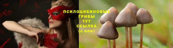 героин Богородицк